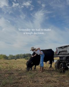 Instagram post by @lilyhillcattle