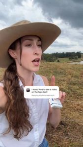 Instagram post by @lilyhillcattle