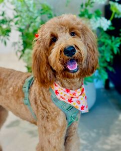 Instagram post by @_ciaradelmar_