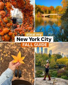 Instagram post by @viverenewyork