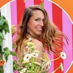 @viverenewyork Instagram Profile