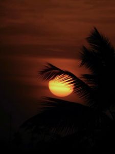 Instagram post by @phionarey