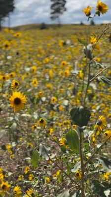 Instagram post by @leahdanarosenfeld