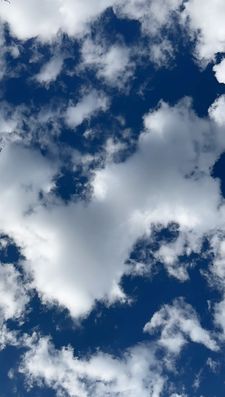 Instagram post by @leahdanarosenfeld