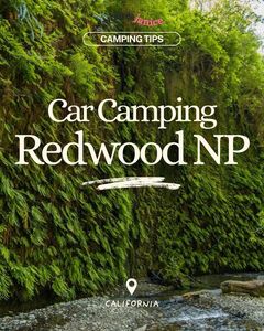 Instagram post by @wheresjanice