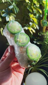 Instagram post by @tastefullytyler