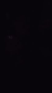 Instagram post by @ishowoffmusic