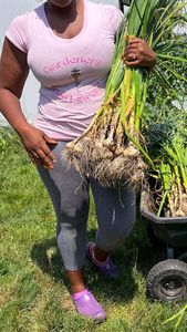 Instagram post by @broadwaygardener