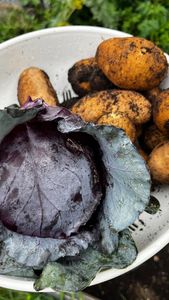 Instagram post by @broadwaygardener