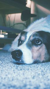 Instagram post by @broadwaygardener