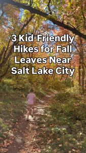 Instagram post by @exploring.with.erika