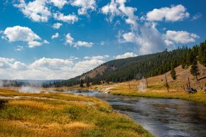 Instagram post by @goldie.ventures