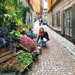 @thejungleupstairs Instagram Profile