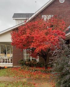 Instagram post by @thefarmerandi