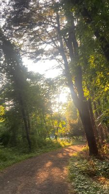 Instagram post by @oatmilk24