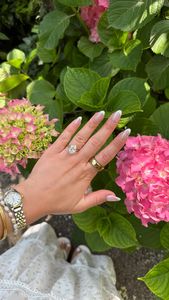 Instagram post by @shannonmariewarren