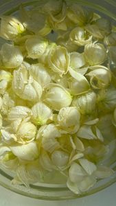 Instagram post by @riemcclenny