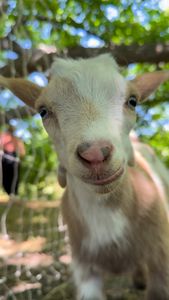 Instagram post by @zoyayaseka