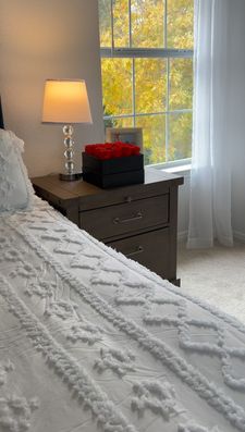 Instagram post by @aylinzorlular