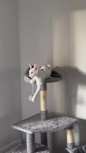 Instagram post by @bebekolog_