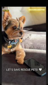 Instagram post by @kristendoute