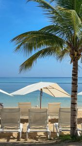 Instagram post by @bashabroad