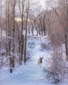 Instagram post by @trailwandering