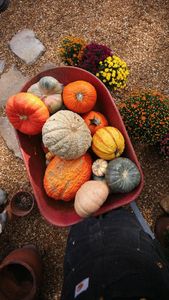 Instagram post by @probablythis