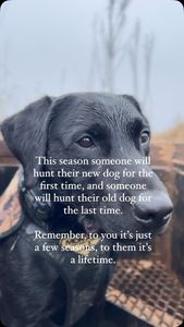 Instagram post by @sodak_samijo