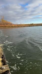 Instagram post by @sodak_samijo