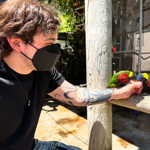 Instagram post by @damienhaas