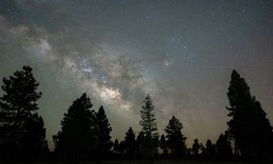 Instagram post by @d.clarke.photography