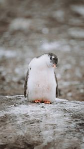 Instagram post by @photoallison