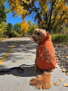 Instagram post by @therockymtnmomma