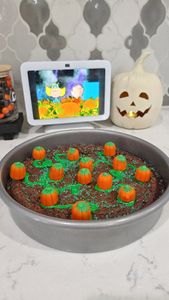 Instagram post by @therockymtnmomma