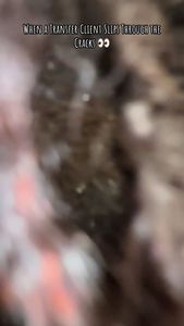 Instagram post by @strandssofbeauty