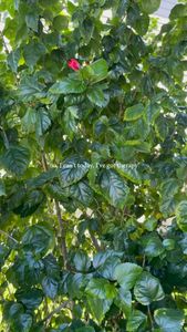 Instagram post by @rachael_roaming