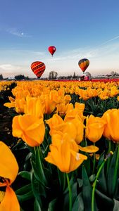 Instagram post by @the_wholewineyards