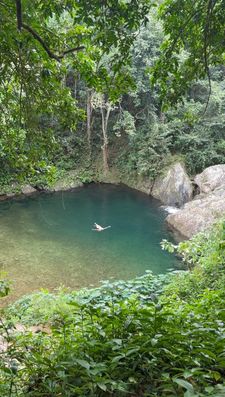 Instagram post by @karsoncoastal