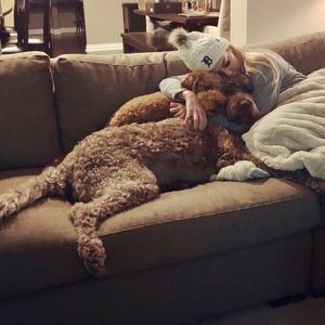 Instagram post by @amyandrewsfox2news