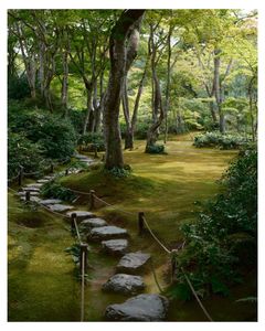 Instagram post by @reedfisch