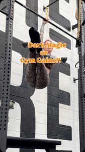 Instagram post by @jojoxfox