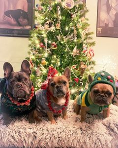 Instagram post by @stephenrezza