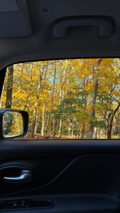 Instagram post by @rileyyquinn_