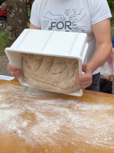 Instagram post by @maurizio