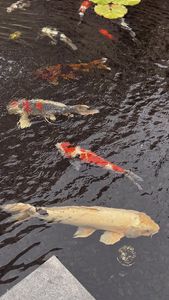 Instagram post by @cheyennekhinojosa