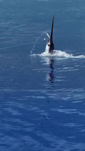 Instagram post by @stephimonte