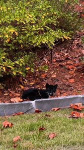 Instagram post by @marianna.rozmajzl