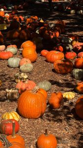 Instagram post by @marianna.rozmajzl