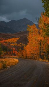 Instagram post by @austinpedersen__